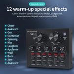 V8 BM-800 Podcast Condenser Microphone Set with Live Sound Card
